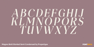 Magres Bold Slanted Semi Condensed Thumbnail #2