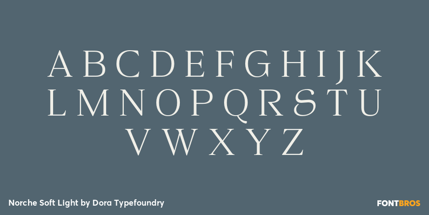 Norche Soft Light Font Poster #2