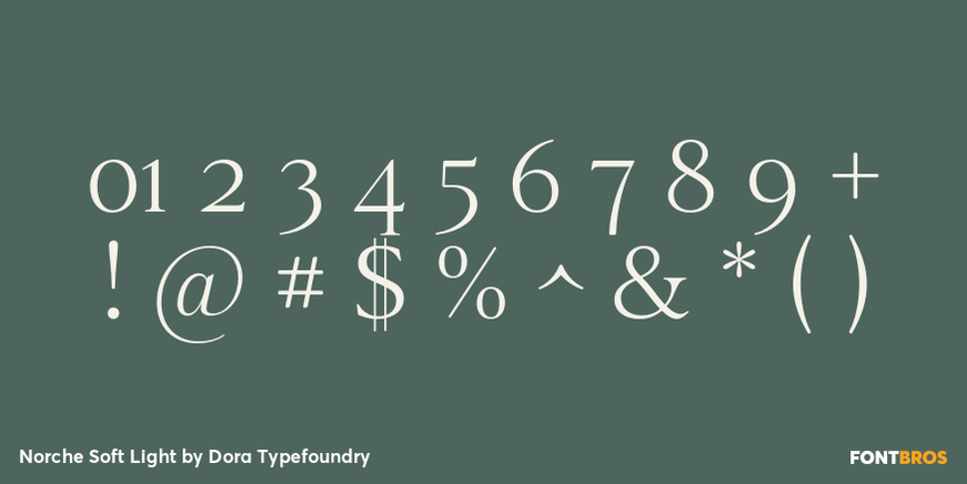 Norche Soft Light Font Poster #4