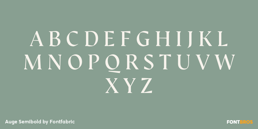 Auge Semibold Font Poster #2