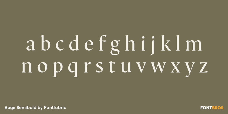Auge Semibold Font Poster #3