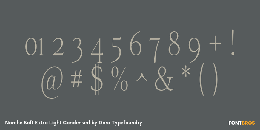 Norche Soft Extra Light Condensed Font Poster #4