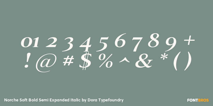 Norche Soft Bold Semi Expanded Italic Font Poster #4