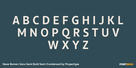 Neue Reman Sans Semi Bold Semi Condensed Thumbnail #2