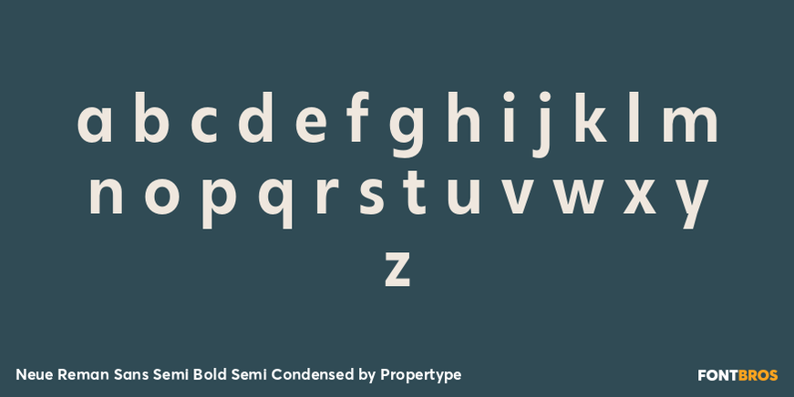 Neue Reman Sans Semi Bold Semi Condensed Font Poster #3