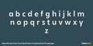 Neue Reman Sans Semi Bold Semi Condensed Thumbnail #3