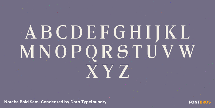 Norche Bold Semi Condensed Font Poster #2