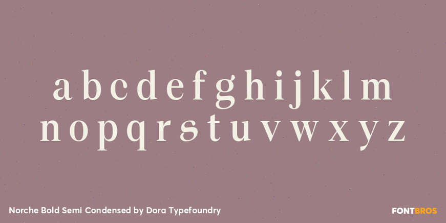 Norche Bold Semi Condensed Font Poster #3