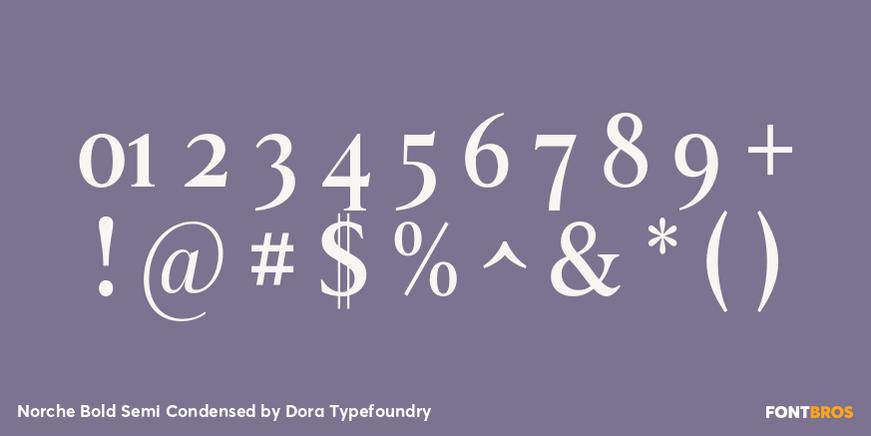 Norche Bold Semi Condensed Font Poster #4