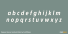 Bajazzo Narrow Semibold Italic Thumbnail #3