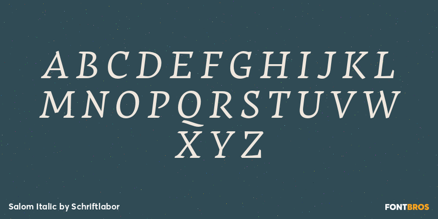 Salom Italic Font Poster #2