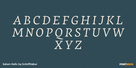 Salom Italic Thumbnail #2