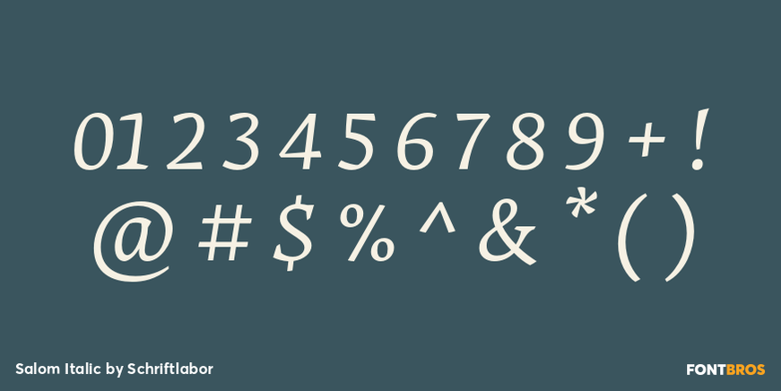 Salom Italic Font Poster #4