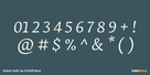 Salom Italic Thumbnail #4