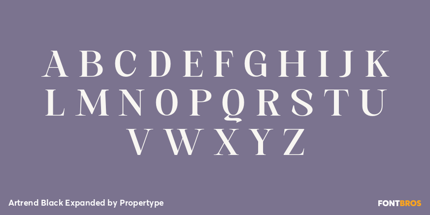 Artrend Black Expanded Font Poster #2