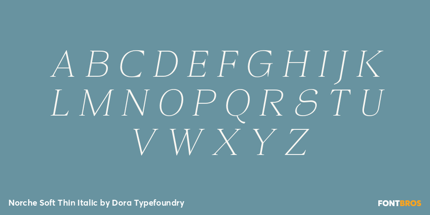 Norche Soft Thin Italic Font Poster #2