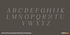 Artrend Thin Expanded Slanted Thumbnail #2