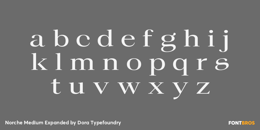 Norche Medium Expanded Font Poster #3