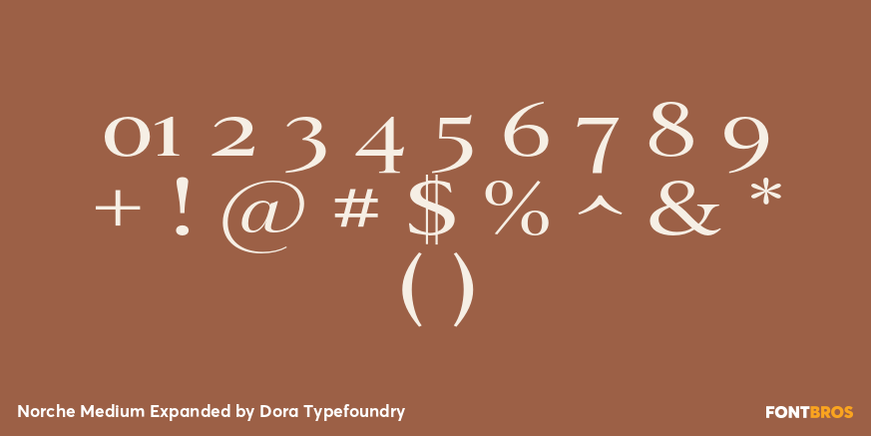 Norche Medium Expanded Font Poster #4