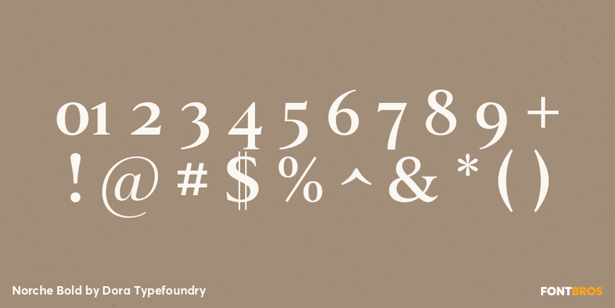 Norche Bold Font Poster #4