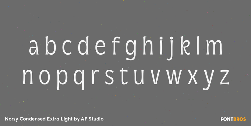 Norsy Condensed Extra Light Font Poster #3