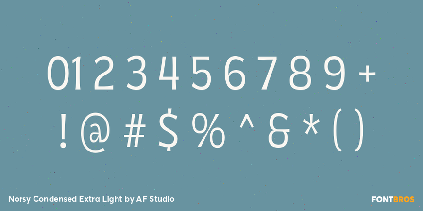 Norsy Condensed Extra Light Font Poster #4