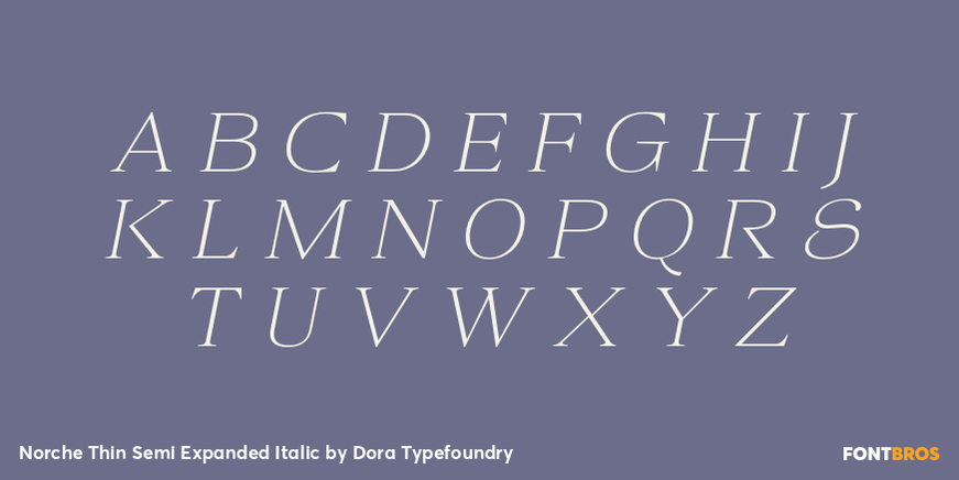Norche Thin Semi Expanded Italic Font Poster #2