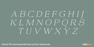 Norche Thin Semi Expanded Italic Thumbnail #2