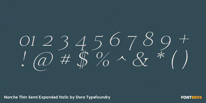 Norche Thin Semi Expanded Italic Font Poster #4