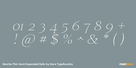 Norche Thin Semi Expanded Italic Thumbnail #4