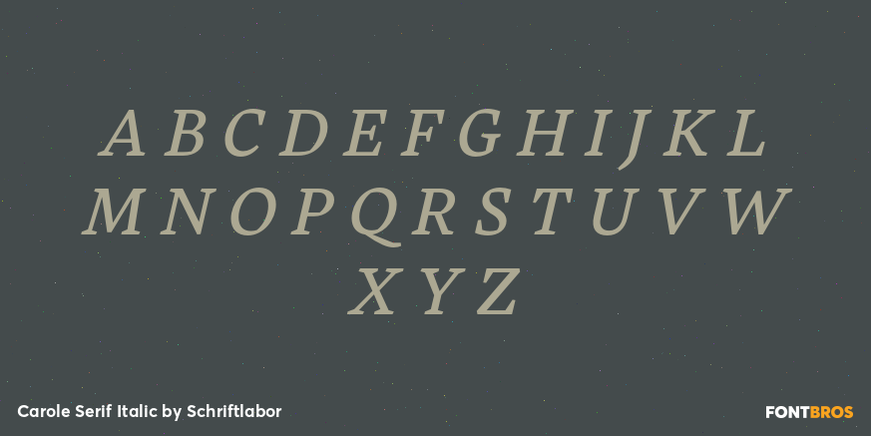Carole Serif Italic Font Poster #2