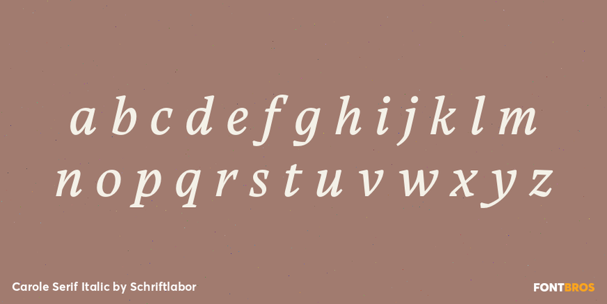 Carole Serif Italic Font Poster #3