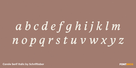 Carole Serif Italic Thumbnail #3