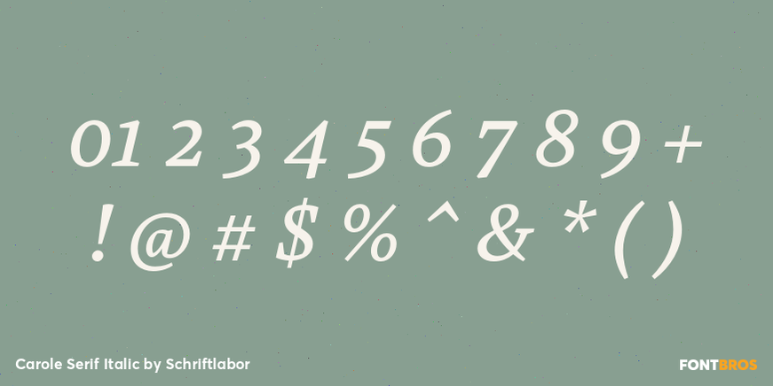 Carole Serif Italic Font Poster #4