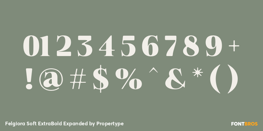 Felgiora Soft ExtraBold Expanded Font Poster #4