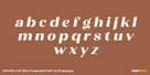 Kelmitha Soft Black Expanded Italic Thumbnail #3