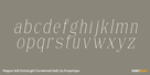 Magres Soft ExtraLight Condensed Italic Thumbnail #3