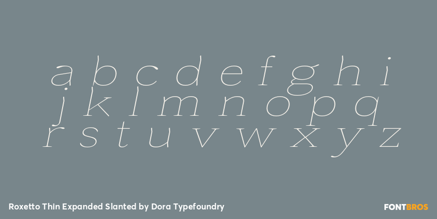 Roxetto Thin Expanded Slanted Font Poster #3