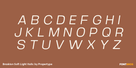 Braskion Soft Light Italic Thumbnail #2