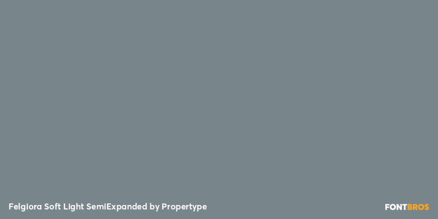 Felgiora Soft Light Semi Expanded Font Poster #4