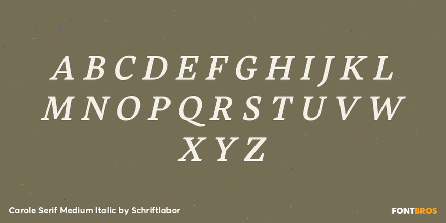 Carole Serif Medium Italic Font Poster #2