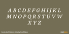 Carole Serif Medium Italic Thumbnail #2