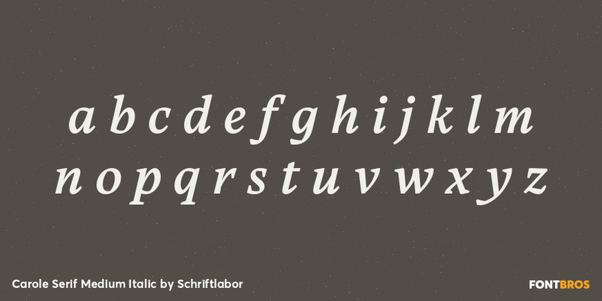 Carole Serif Medium Italic Font Poster #3