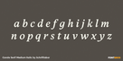 Carole Serif Medium Italic Thumbnail #3