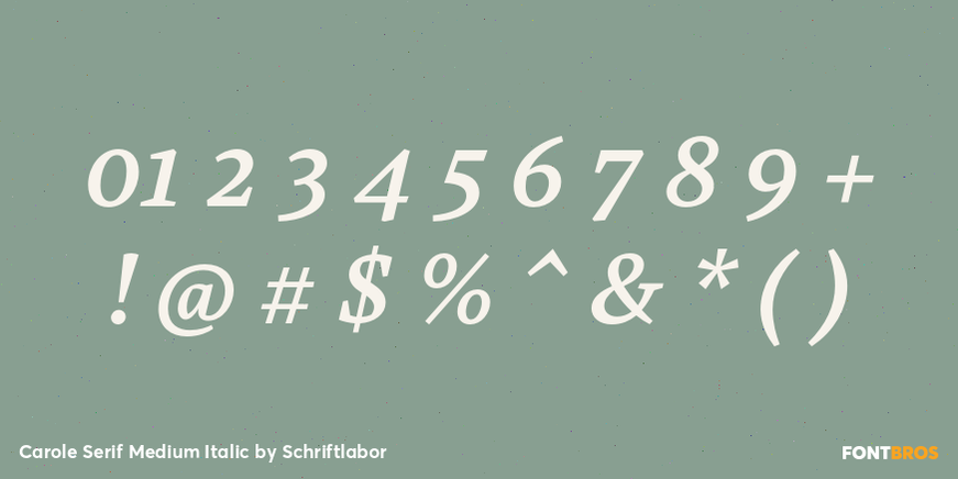 Carole Serif Medium Italic Font Poster #4