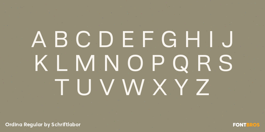 Ordina Regular Font Poster #2