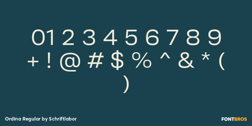 Ordina Regular Font Poster #4