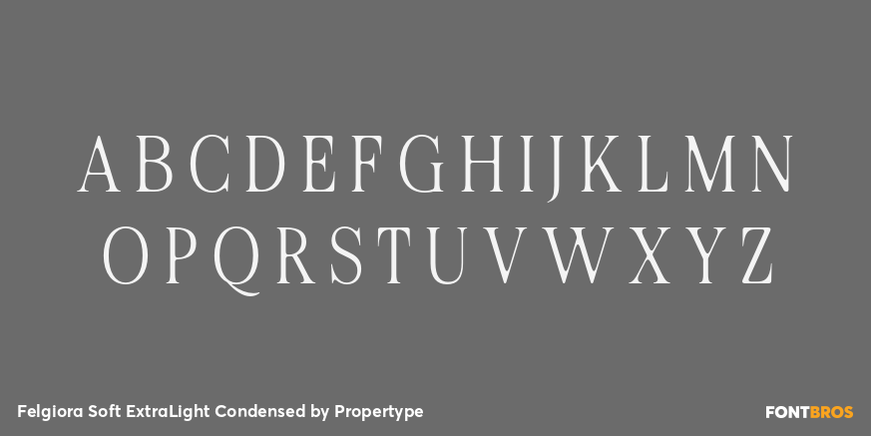 Felgiora Soft Extra Light Condensed Font Poster #2