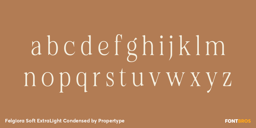 Felgiora Soft Extra Light Condensed Font Poster #3