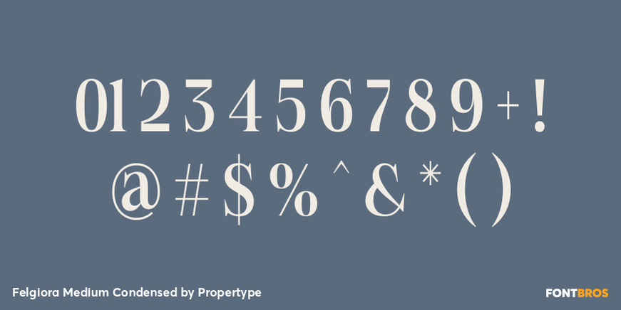 Felgiora Medium Condensed Font Poster #4